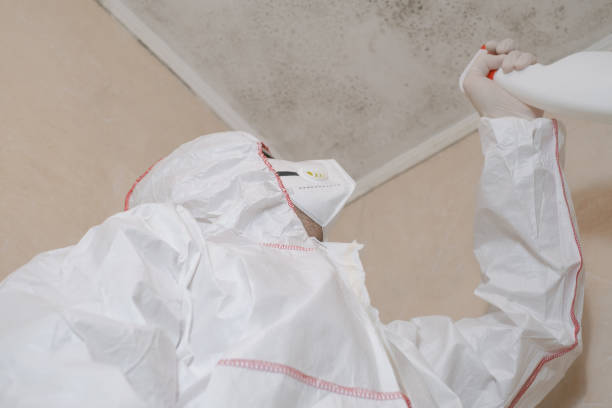 Best Local Mold Removal Service  in Lyons, WI