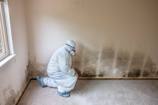 Best Mold Removal Process  in Lyons, WI