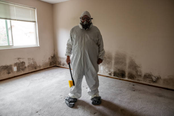 Best Toxic Mold Removal  in Lyons, WI